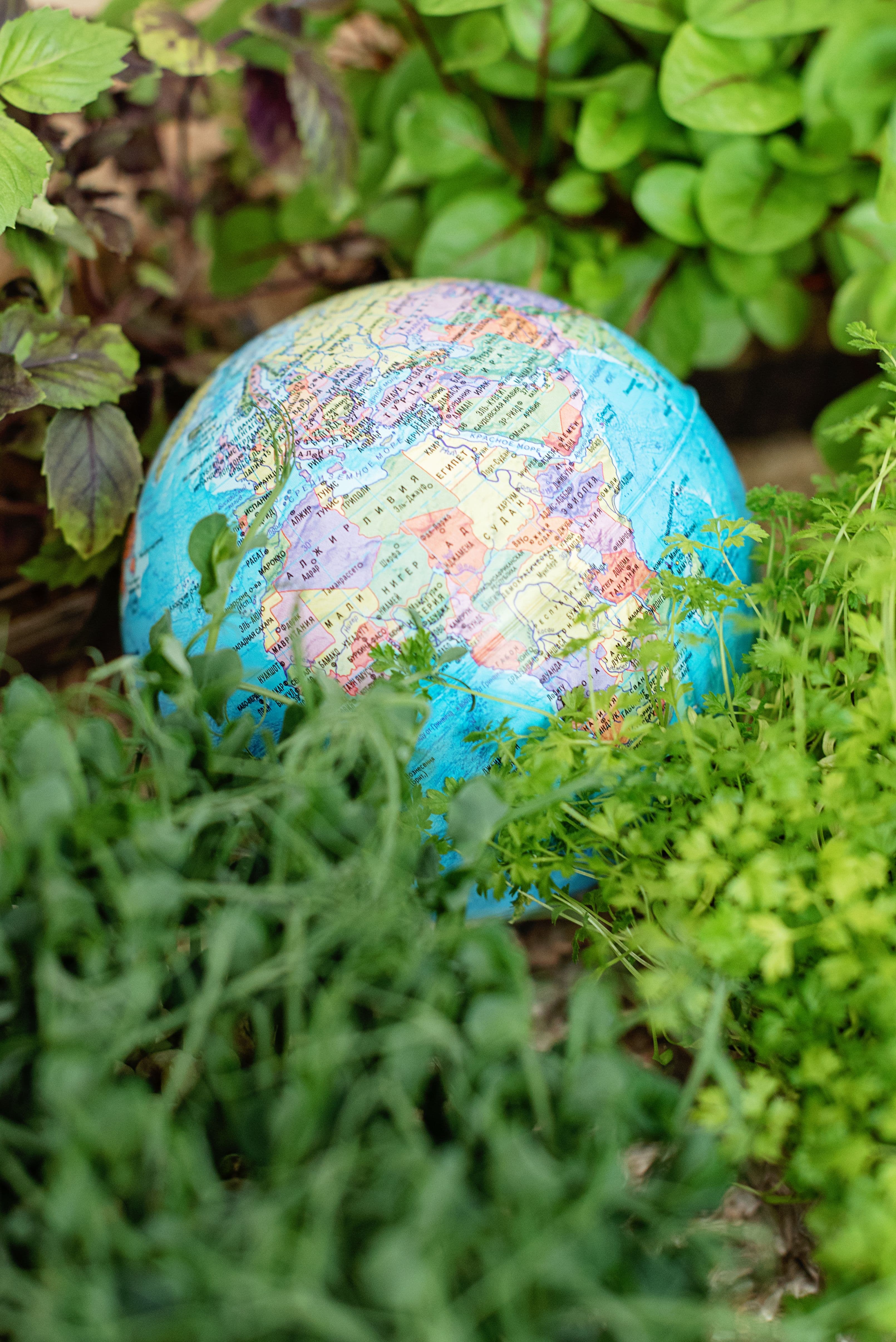 Operational sustainability